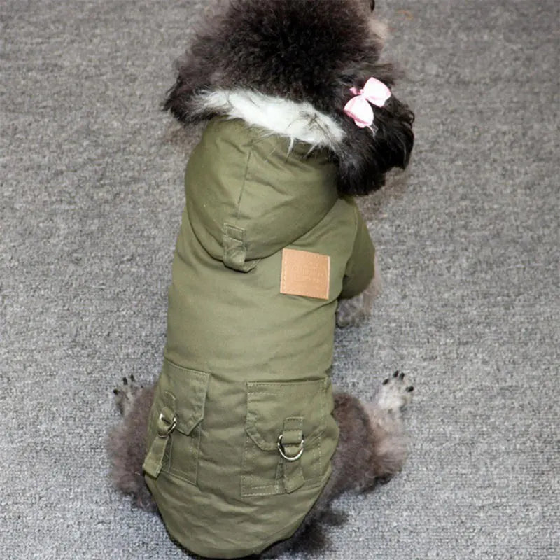 Small dog wearing mypawbloom thick warm hoodie coat, cozy and stylish for cold weather.