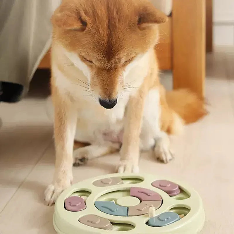 Pet Enrichment Puzzle Toy – Anti-Choke Slow Eating Bowl for Dogs & Cats