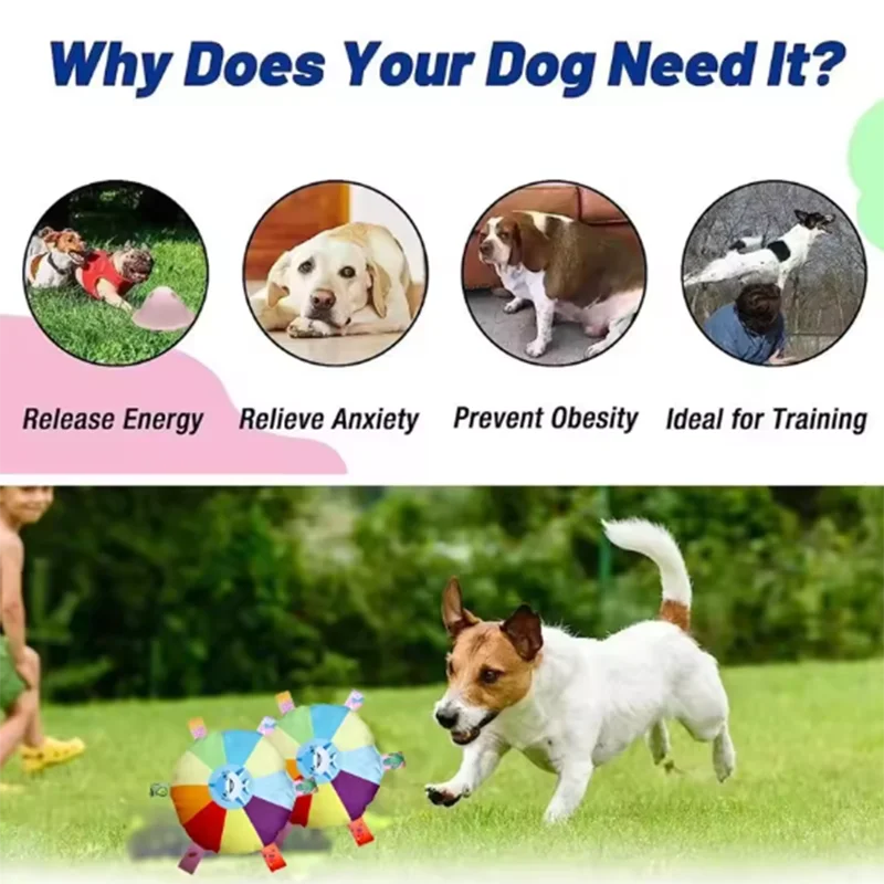 Cartoon Squeaky Plush Dog Toy – Interactive Fleece Comfort Chew