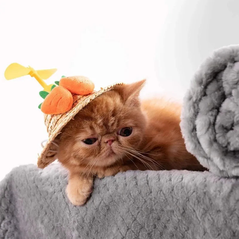 Warm Soft Fuzzy Blankets