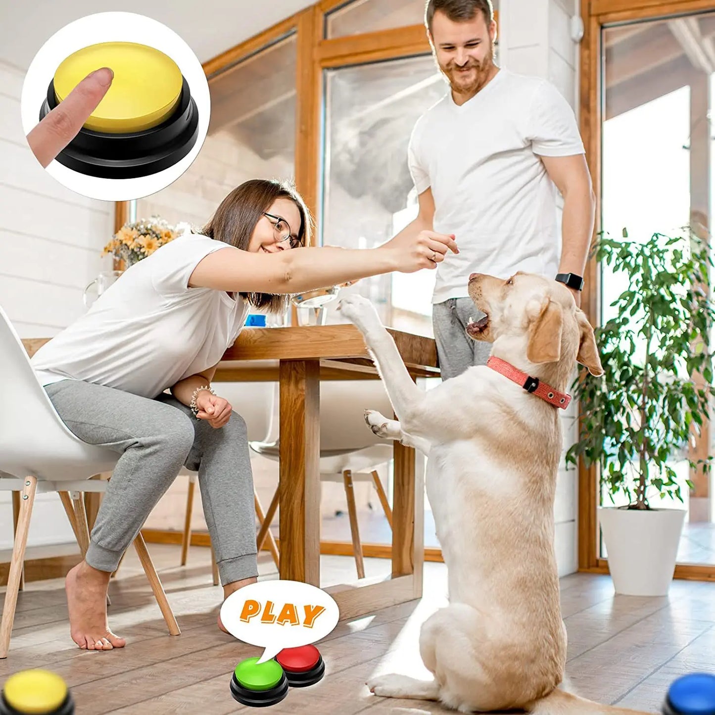 Dog communication button, pet training recording button