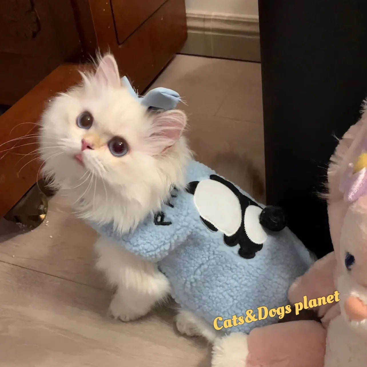 Cute Cat Sweater Soft Cozy Costume Winter Warm
