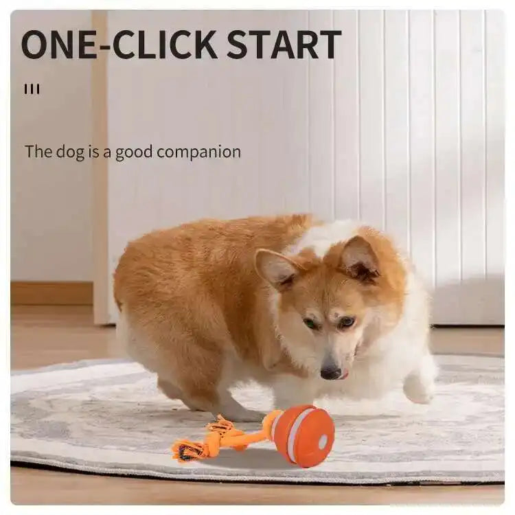 Interactive teasing ball for dogs by mypawbloom, showing a colorful, durable smart toy designed to engage pets in play.