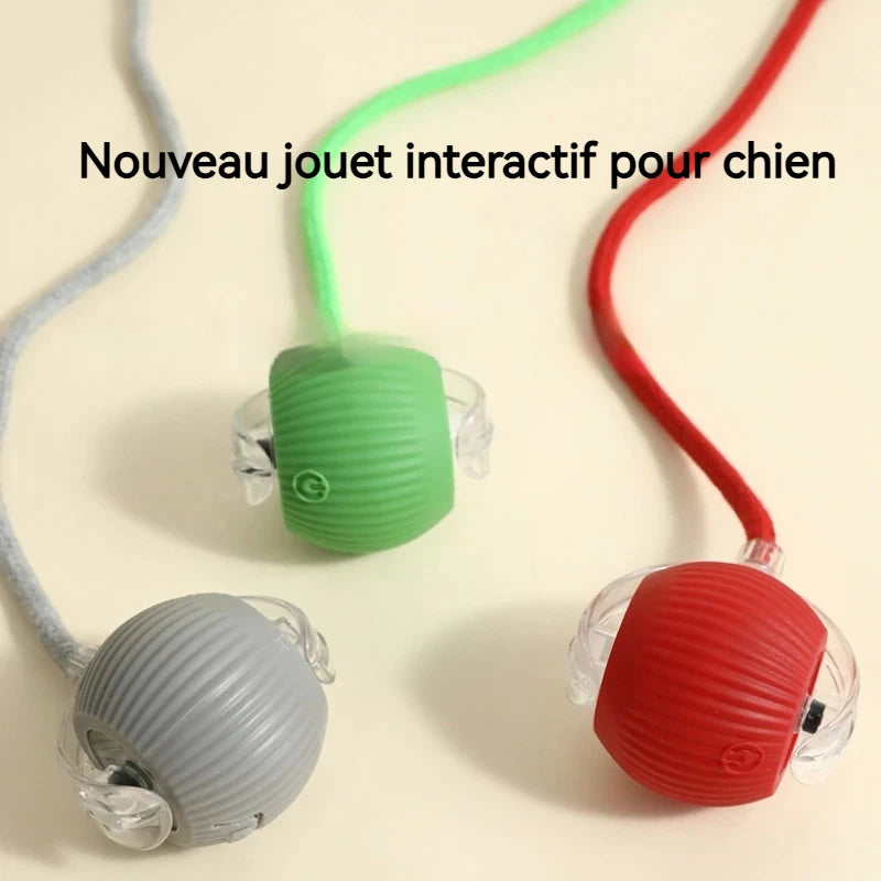 Dog Interactive Ball Toy,Automatic Rolling