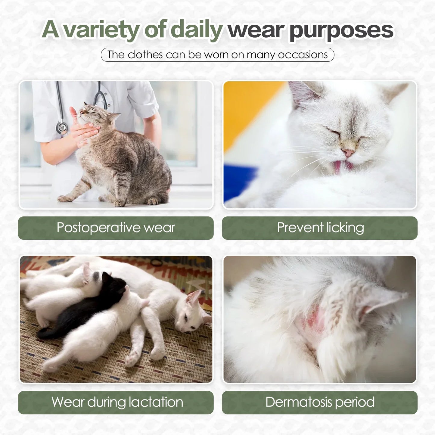 Cat Recovery Suit Professional,Abdominal Wounds Cone E-Collar Alternative