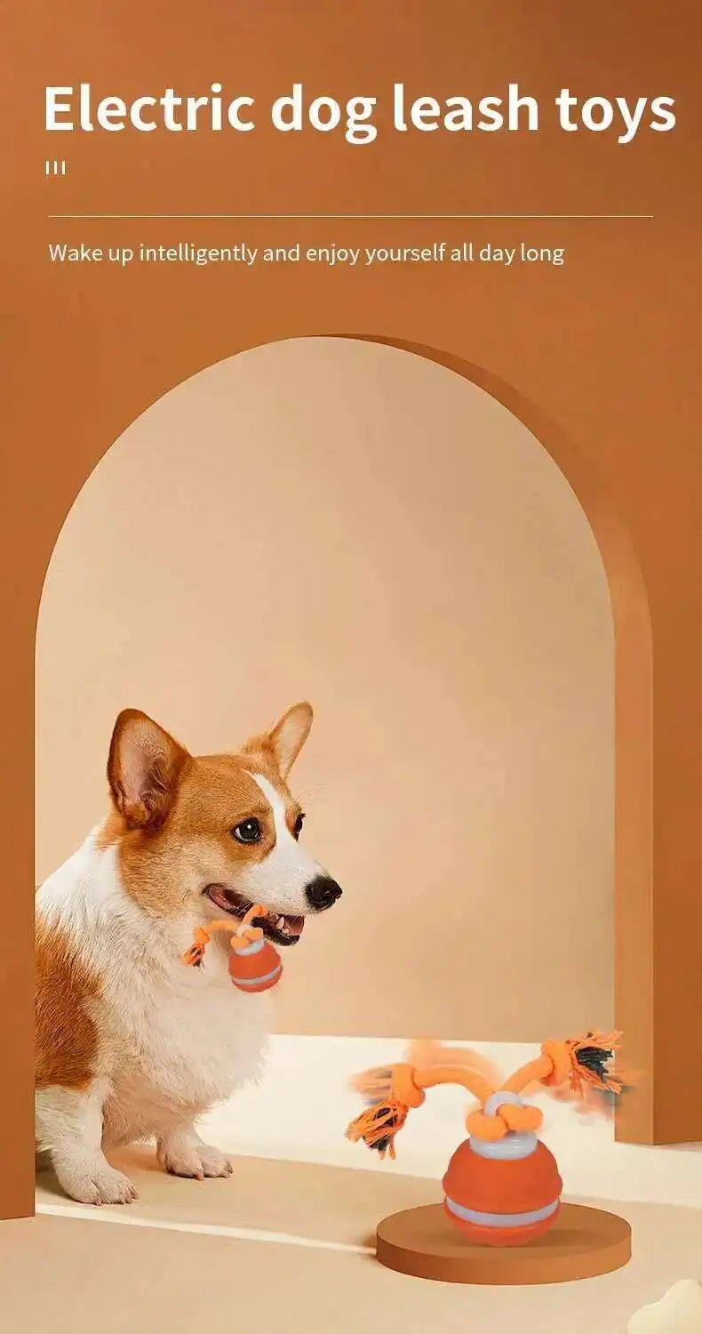 Interactive teasing ball for dogs by mypawbloom, featuring a colorful, textured design to keep pets engaged and entertained.
