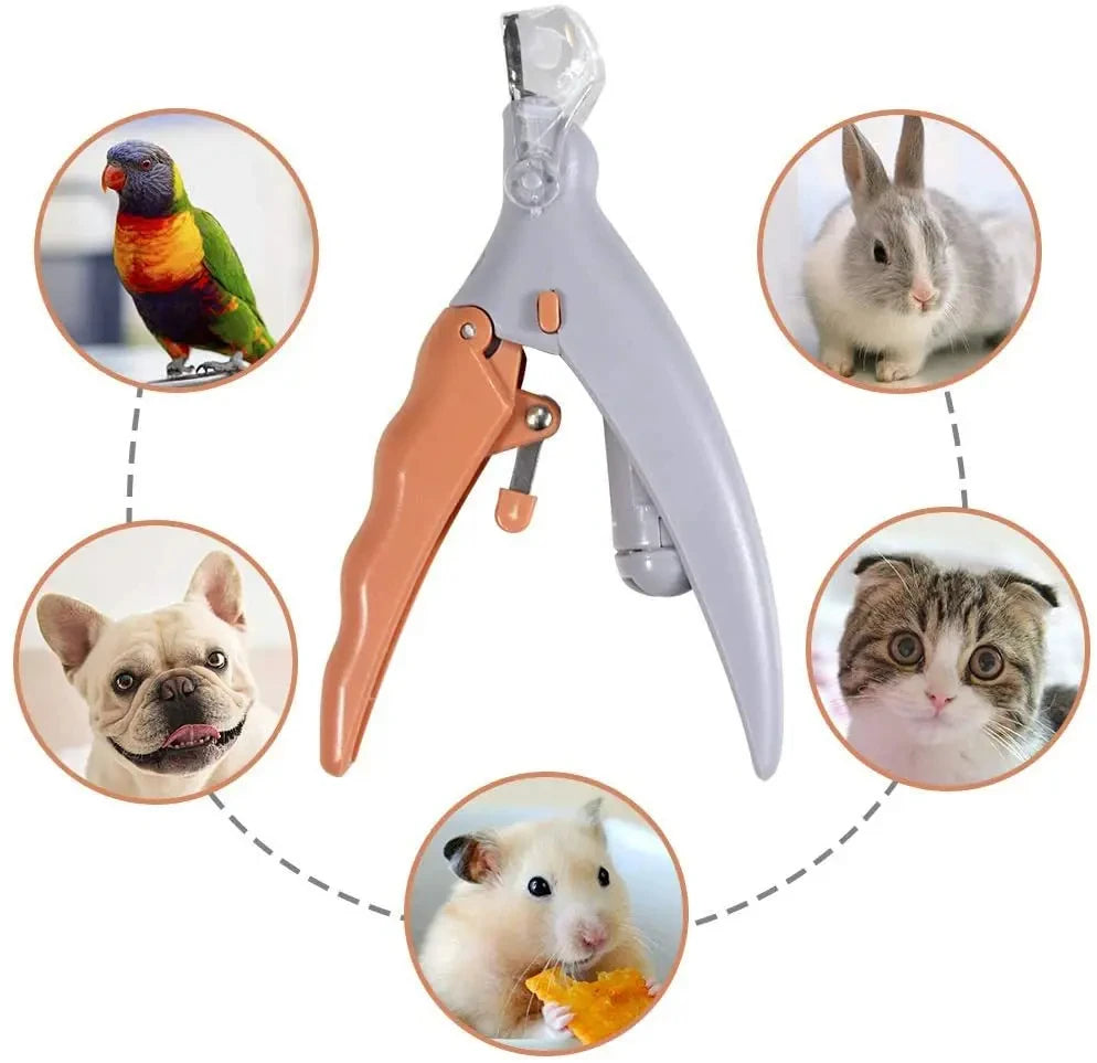 mypawbloom professional pet nail clipper scissors with LED light, featuring ergonomic design and precision blades for grooming pets.