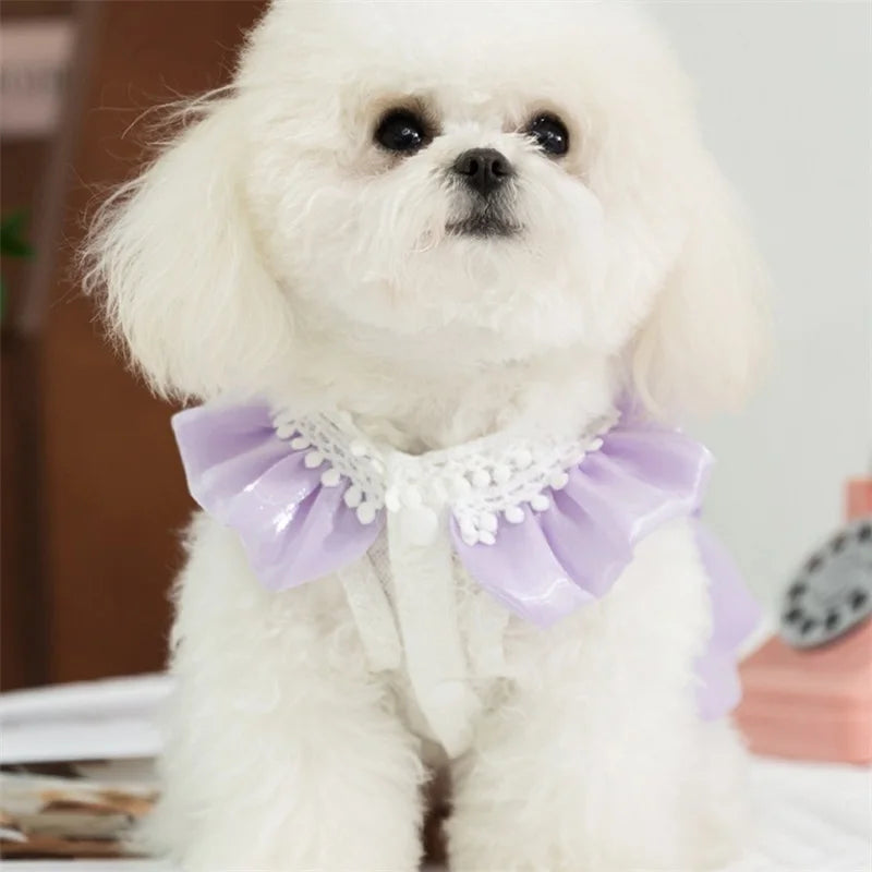 Small dog wearing a cute tutu dress with bowknot lace by mypawbloom, featuring a ruffled skirt and floral details.