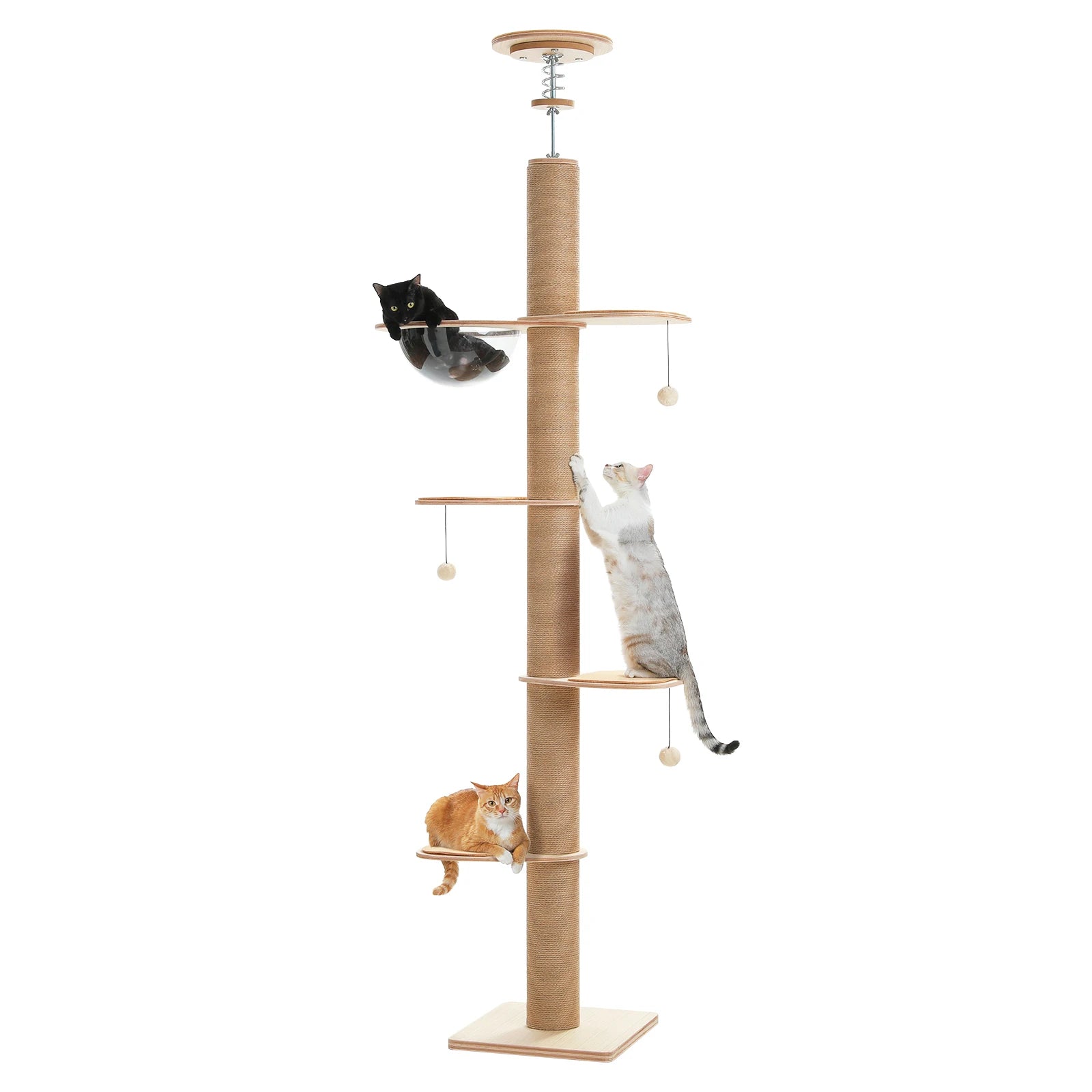 Indoor cat tree by mypawbloom, adjustable height floor to ceiling with multiple levels and cozy perches for cats.
