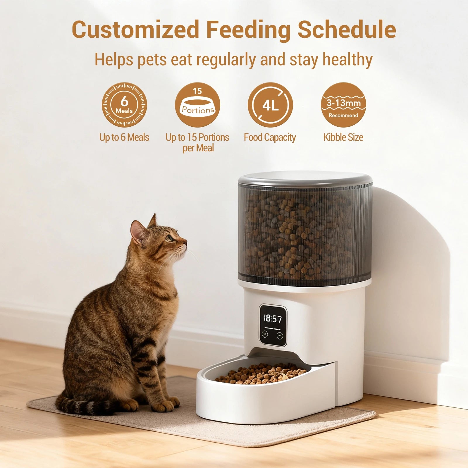 Mypawbloom programmable 4L automatic pet feeder for small dogs and cats, with digital control and food dispensing tray.
