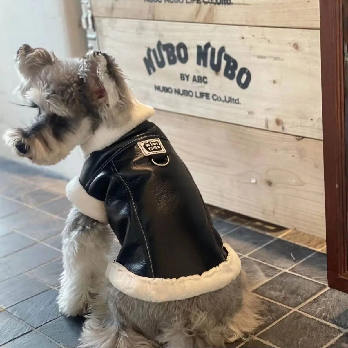 Solid-color padded dog vest by mypawbloom, lightweight pet clothing with soft padding for dogs to stay warm and comfortable.