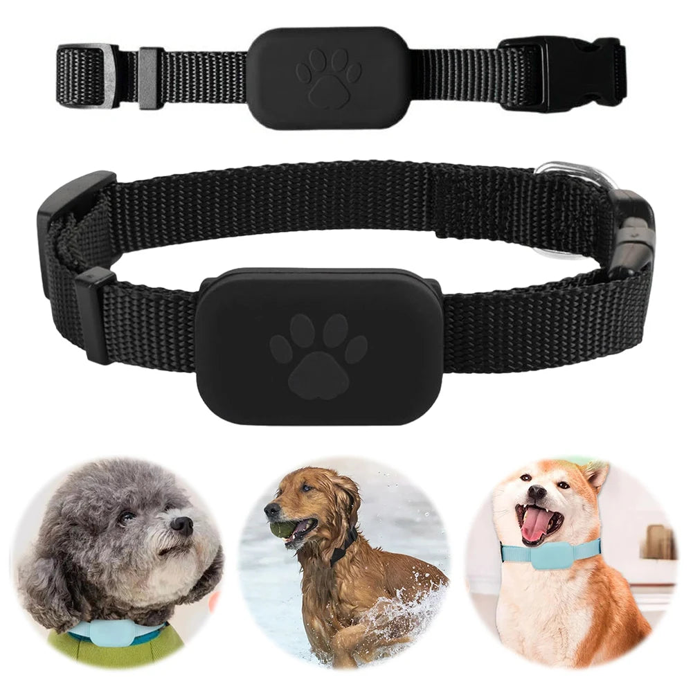 MyPawbloom pet GPS tracker with adjustable collar, shown in black with device and collar strap visible.