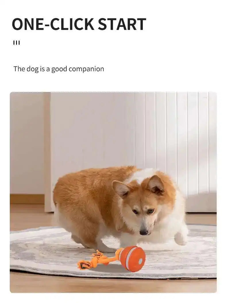 Interactive teasing ball dog toy by mypawbloom, featuring a colorful, durable design for engaging play and mental stimulation.