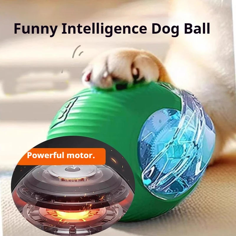 Dog Interactive Ball Toy,Automatic Rolling