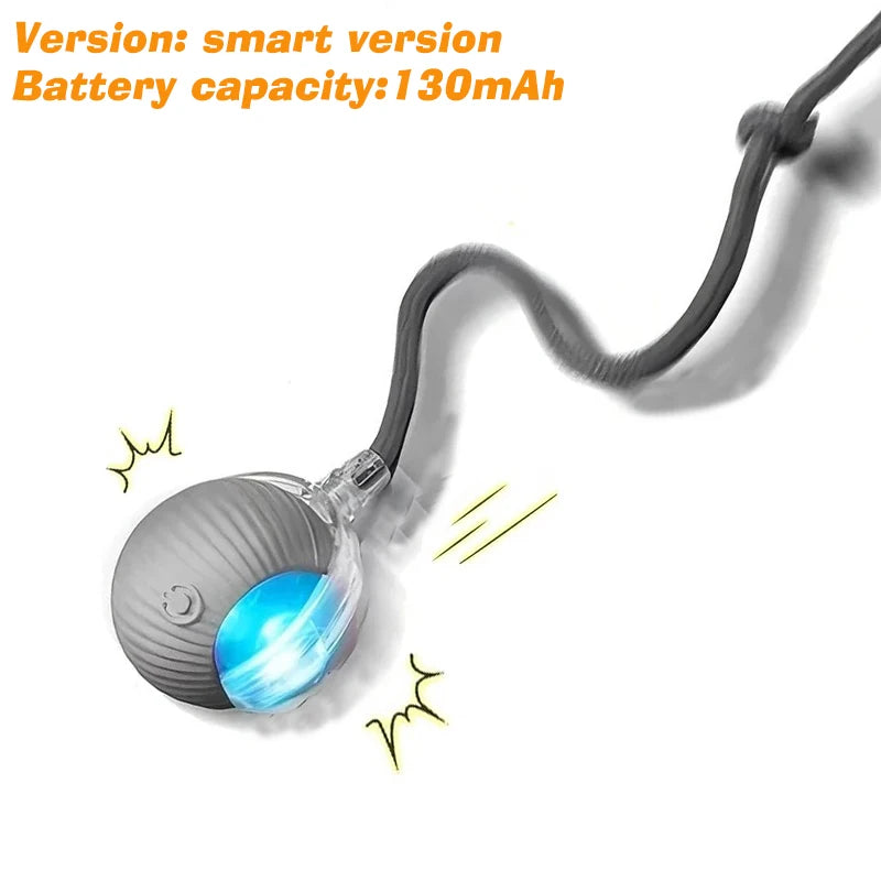 Dog Interactive Ball Toy,Automatic Rolling