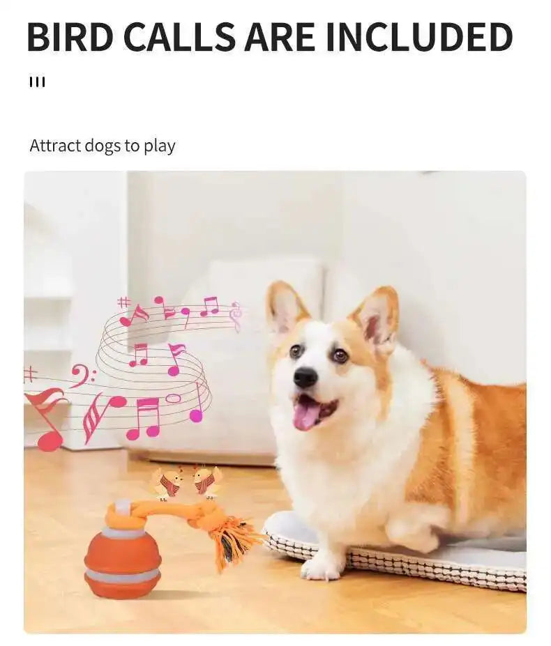 Interactive teasing ball for dogs by mypawbloom, featuring a colorful, textured design for engaging play and mental stimulation.