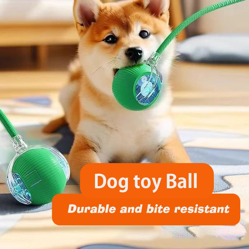 Dog Interactive Ball Toy,Automatic Rolling