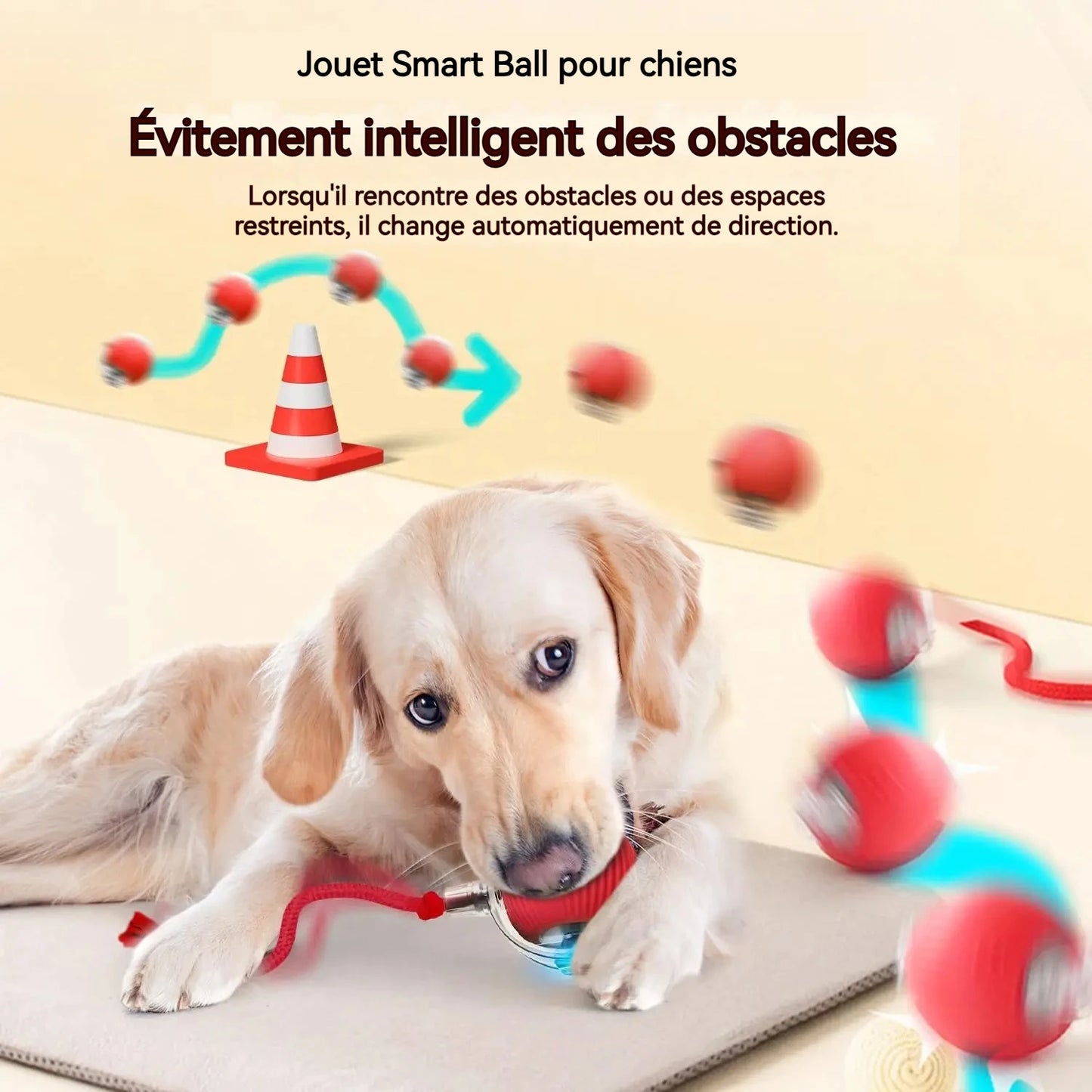 Dog Interactive Ball Toy,Automatic Rolling