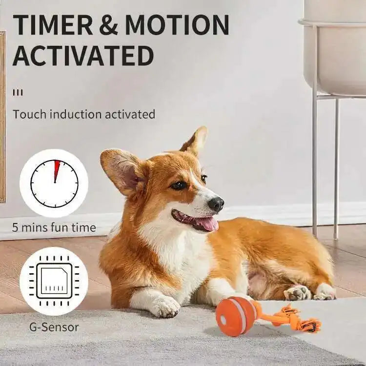Interactive teasing ball for dogs by mypawbloom, featuring colorful design and textured surface for engaging play.