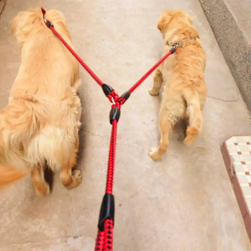 mypawbloom 1.4m pet double leash with 2-way couplers, adjustable for walking two dogs simultaneously, shown in the image.