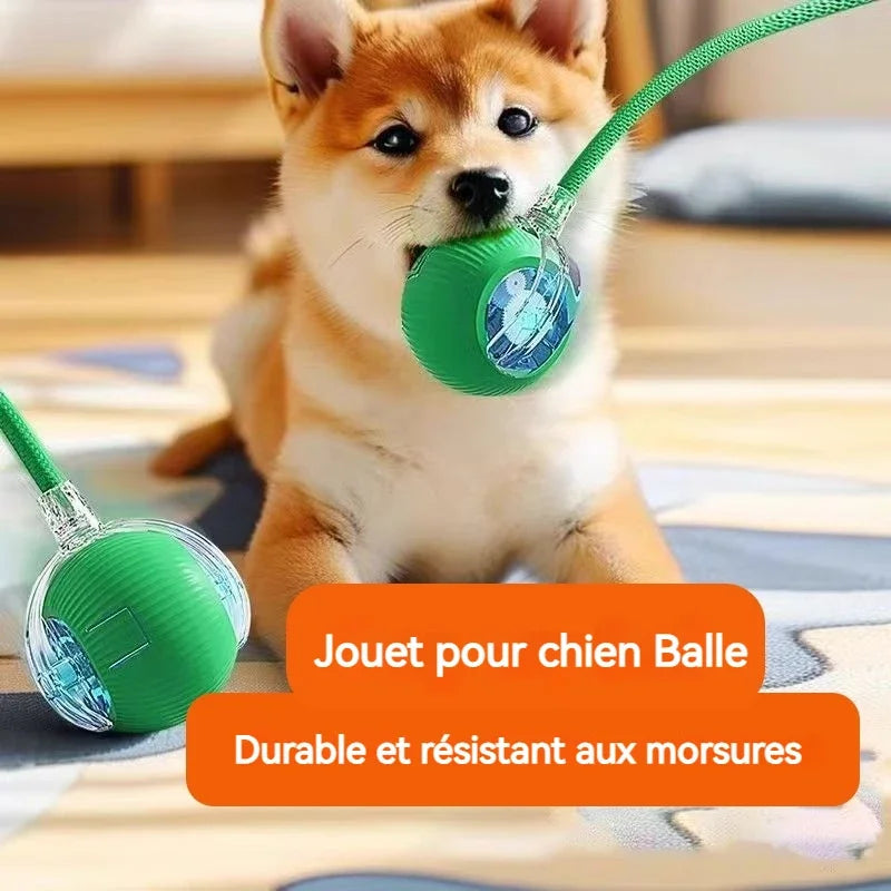 Dog Interactive Ball Toy,Automatic Rolling