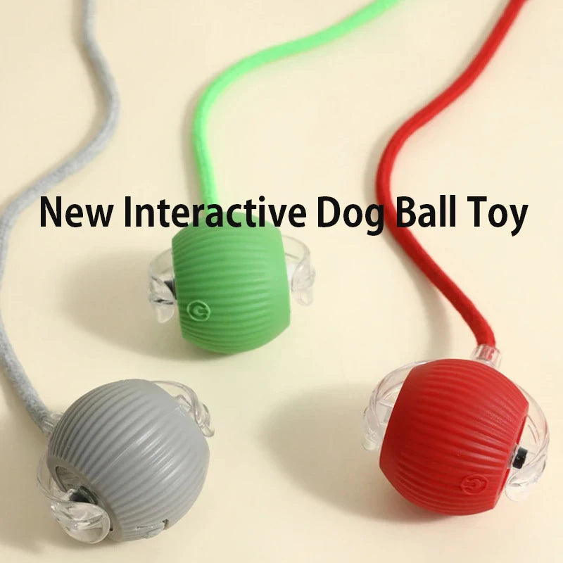 Dog Interactive Ball Toy,Automatic Rolling