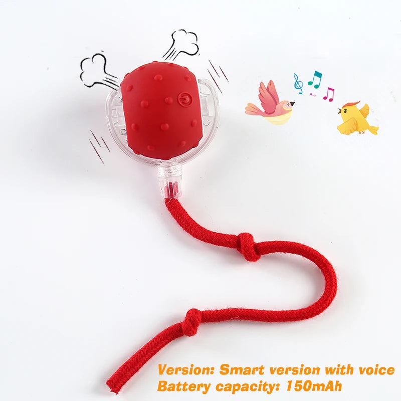 Dog Interactive Ball Toy,Automatic Rolling