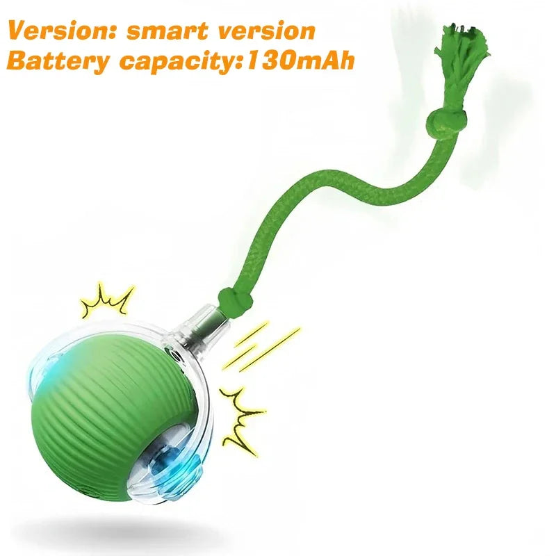 Dog Interactive Ball Toy,Automatic Rolling