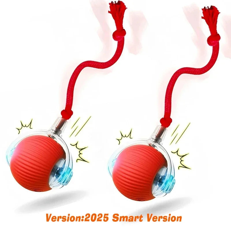 Dog Interactive Ball Toy,Automatic Rolling