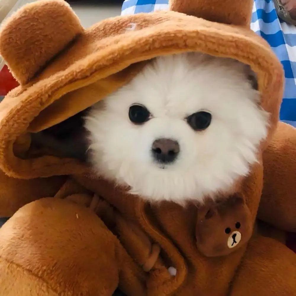 Cozy Plush Dog Purse Carrier with Secure Harness