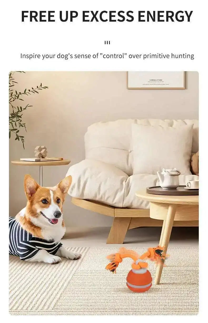 MyPawbloom smart dog toy interactive teasing ball for dogs, featuring a colorful, durable design for engaging play.