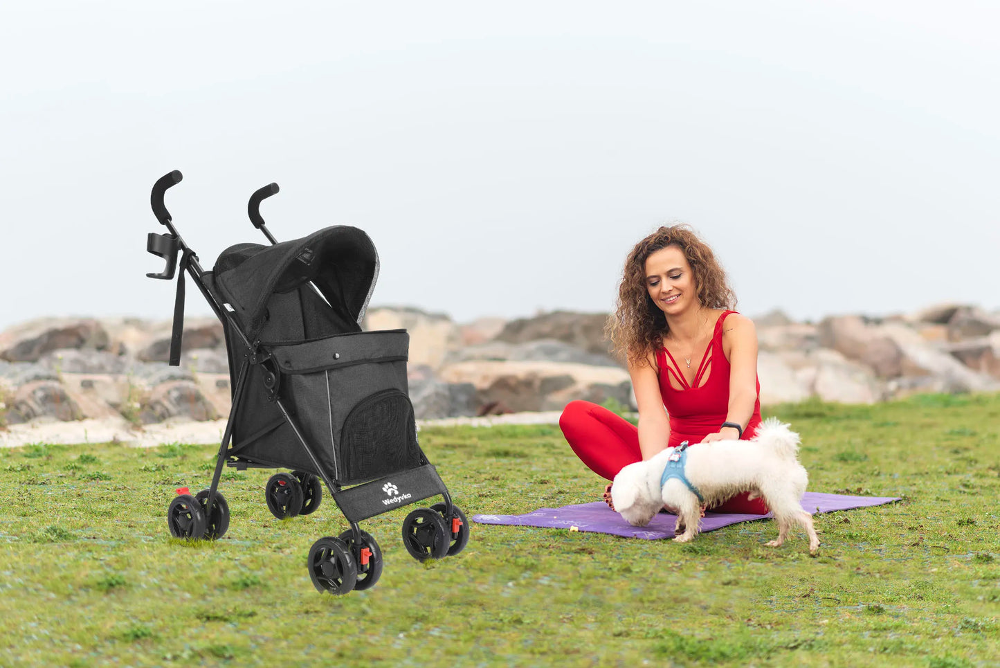 Wedyvko Pet Dog/Cat Stroller
