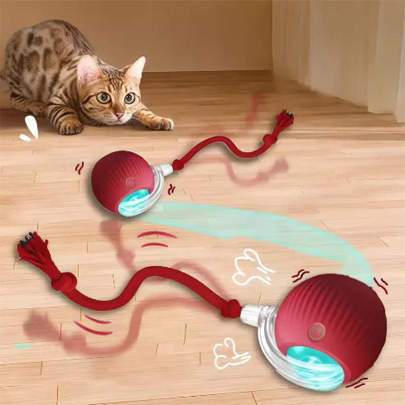 mypawbloom interactive self-play cat toy with automatic teaser ball, designed to entertain and engage cats in playful activity.