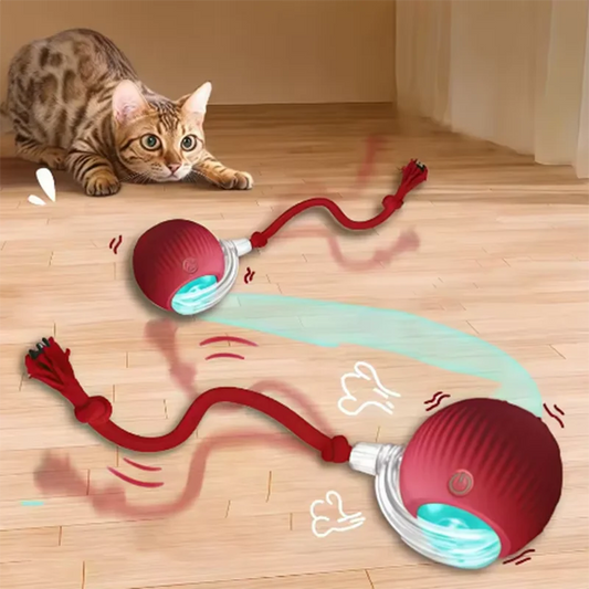 mypawbloom interactive self-play cat toy with automatic teaser ball, designed to entertain and engage cats in playful activity.