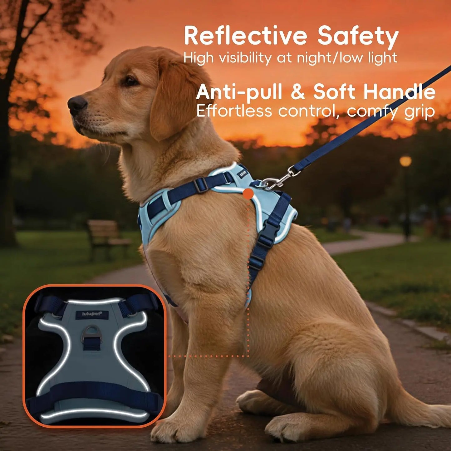3-in-1 No-Pull Dog Harness Leash Collar Set