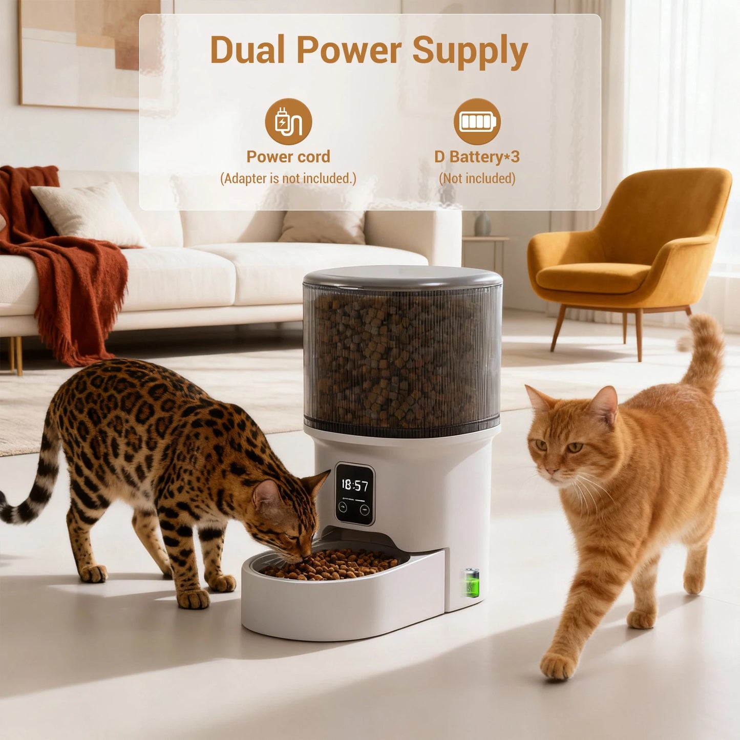 Mypawbloom programmable 4L automatic pet feeder for small dogs and cats, with digital controls and food dispensing tray.