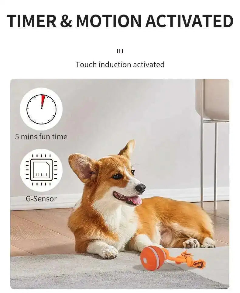 Interactive teasing ball for dogs from mypawbloom, featuring a colorful, textured design perfect for play and mental stimulation.