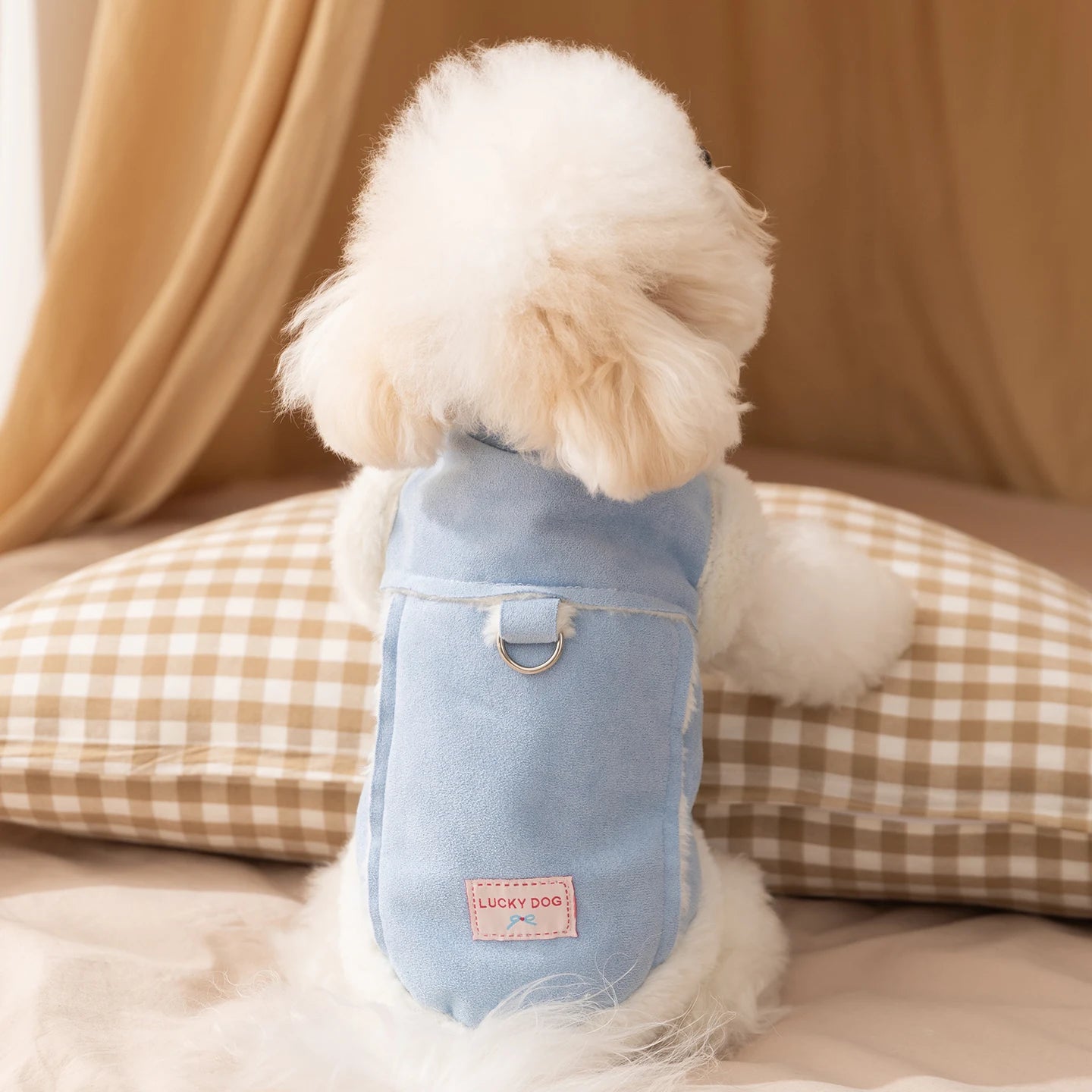 Solid-color padded dog vest from mypawbloom, showcasing a comfortable, insulated dog coat for pets.