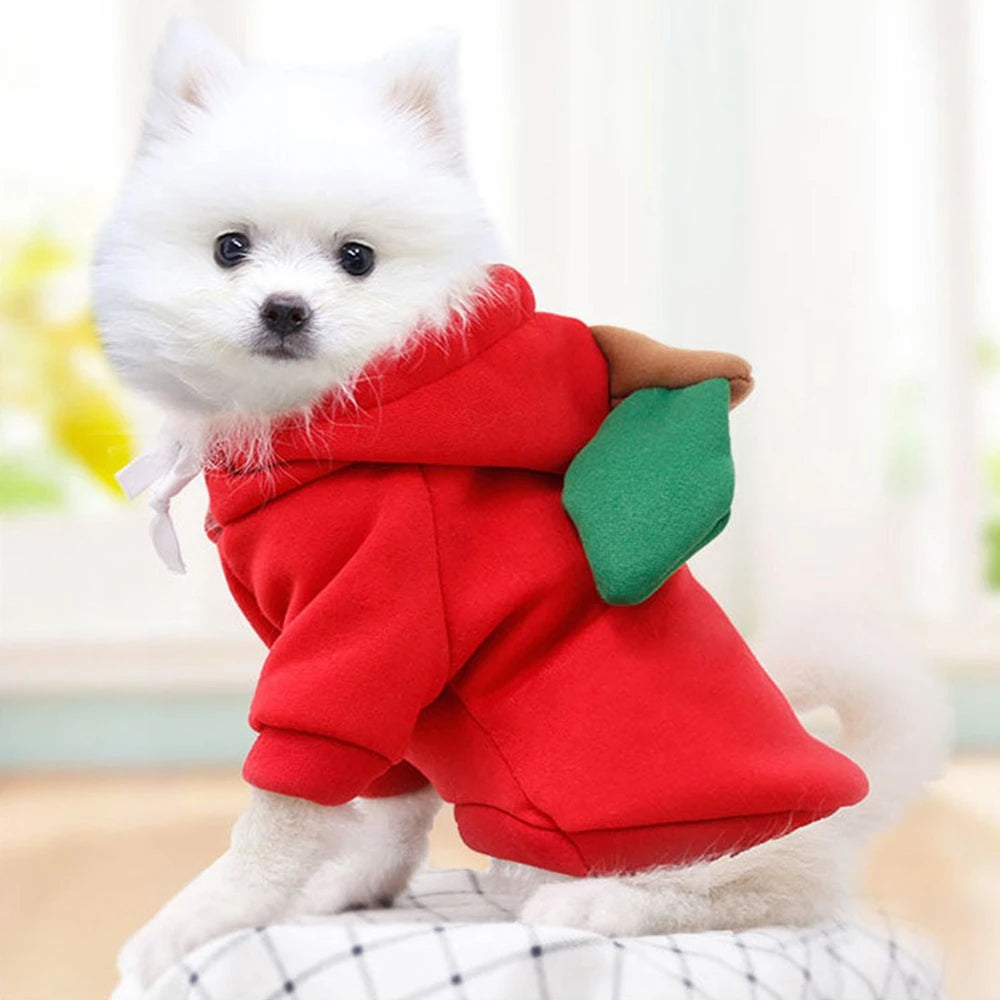 Cozy Fruit Print Pet Hoodie – Soft Cotton Winter Dog Clothes for Cats & Small Dogs