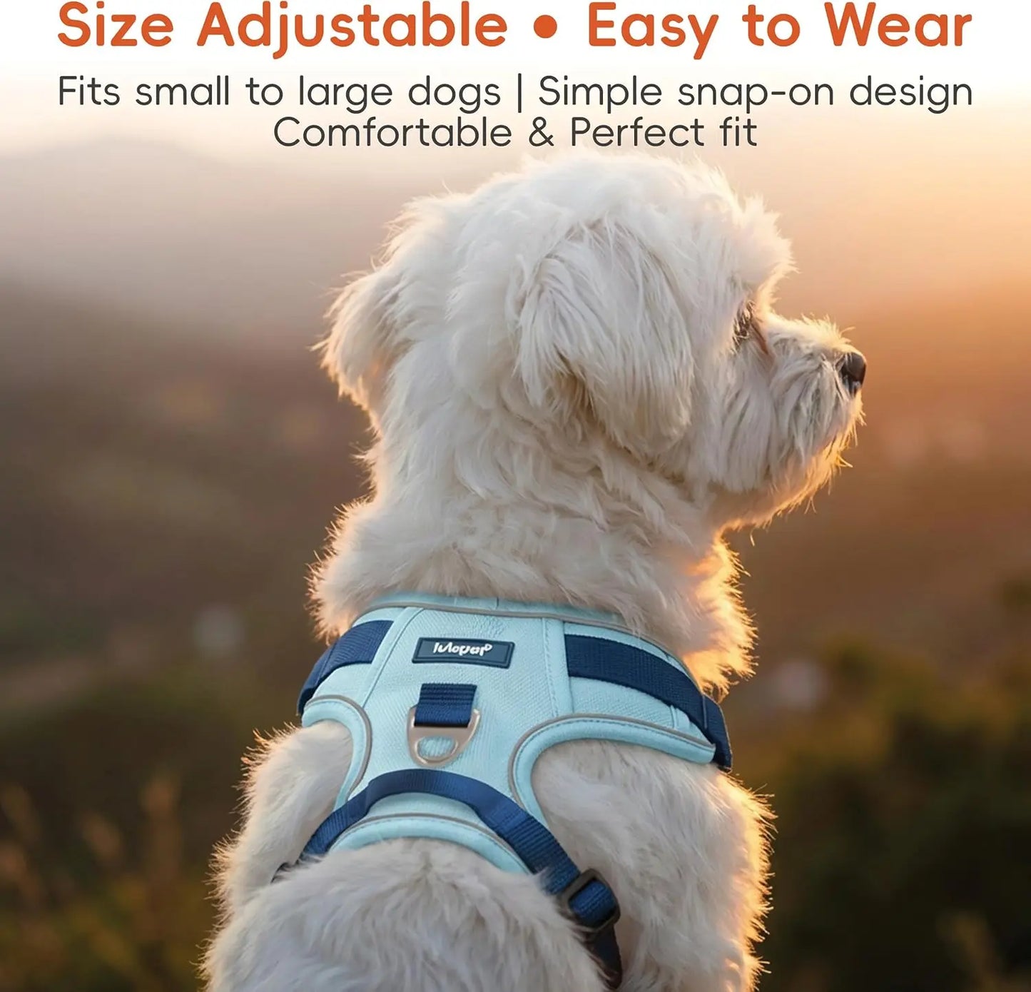 3-in-1 No-Pull Dog Harness Leash Collar Set