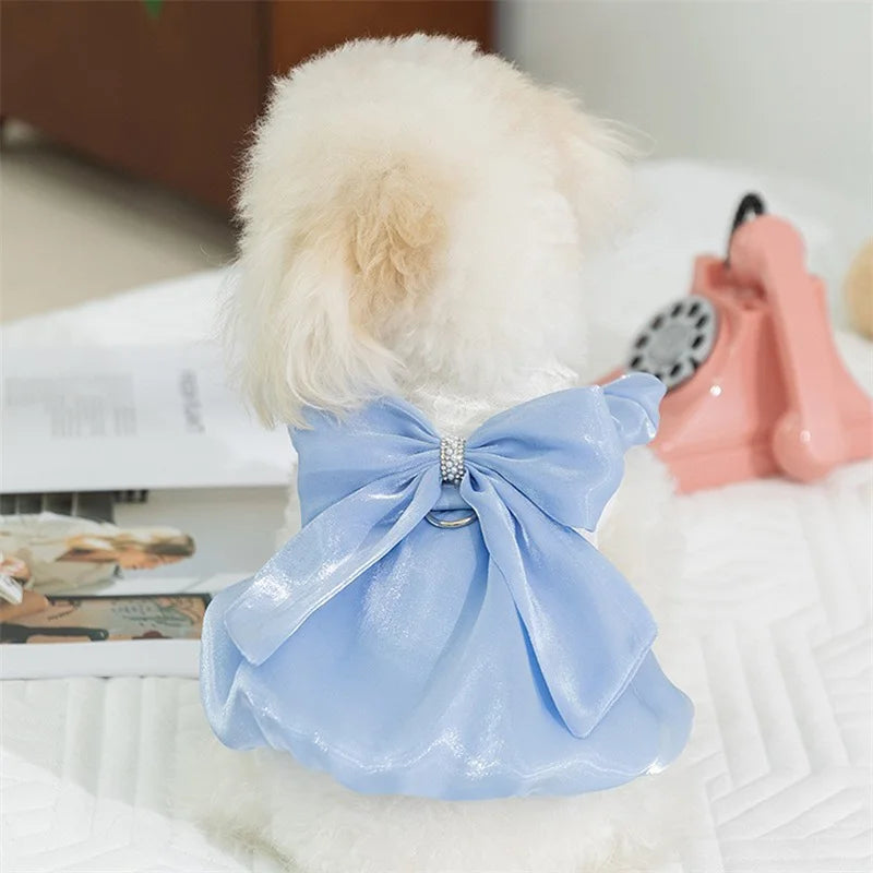 Small dog wearing a MyPawBloom tutu dress with lace and bowknot, adorable pet clothing for special occasions.