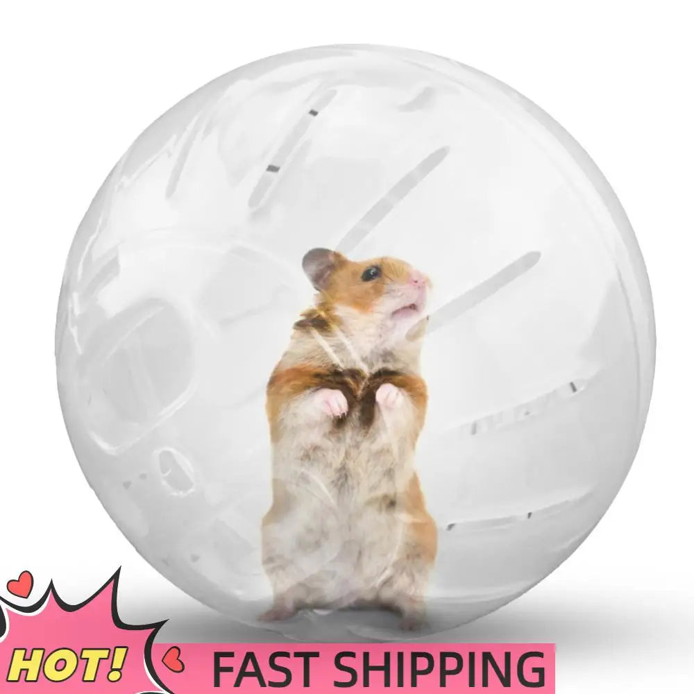 Mini Portable Pet Jogging Ball Plastic