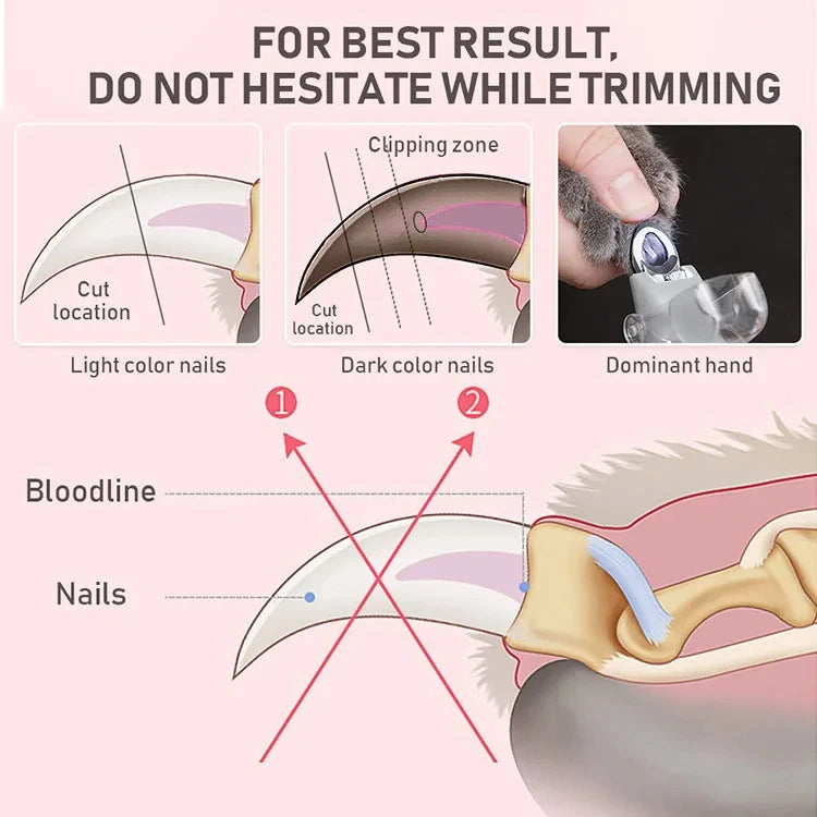 MyPawbloom professional pet nail clipper scissors with LED light, showing stainless steel blades and ergonomic handle.