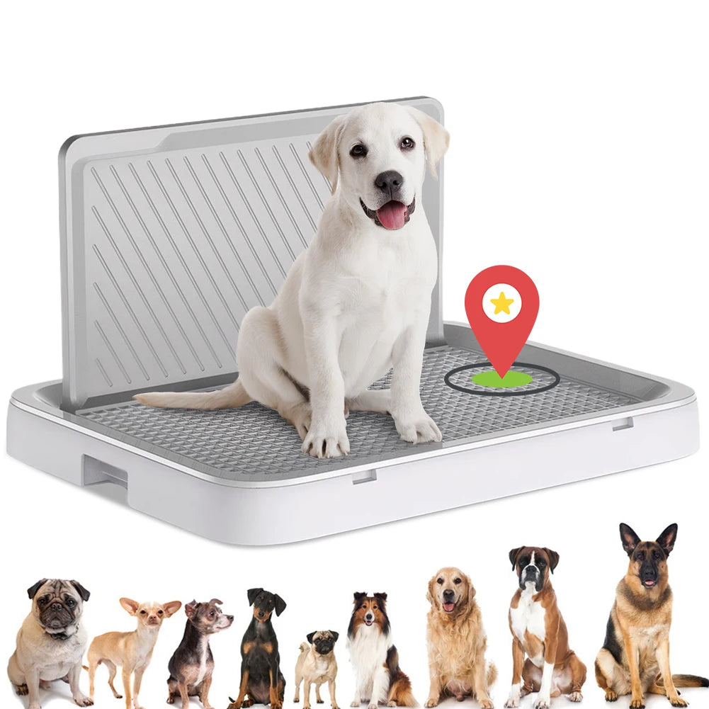 Dog Potty Tray with Pee Wall